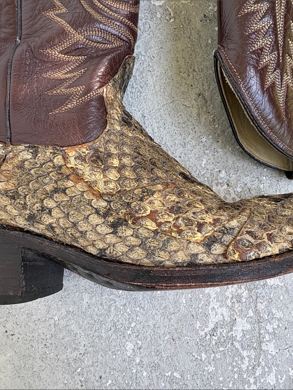 Dan post python cowboy boots - Picture 2 of 12